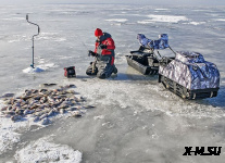 Мотобуксировщик BALTMOTORS Snowdog Standard Z15