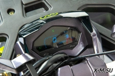 Квадроцикл MOTOLAND (МОТОЛЕНД) 125 WILD X А