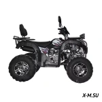 Квадроцикл REGILMOTO XMR 200 Lux
